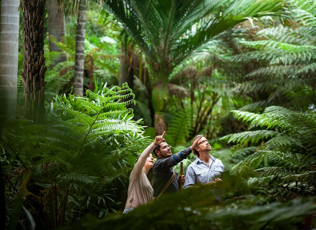 A guide pointing out plants to two visitors on the Aboriginal Heritage Walk at Melbourne Gardens.