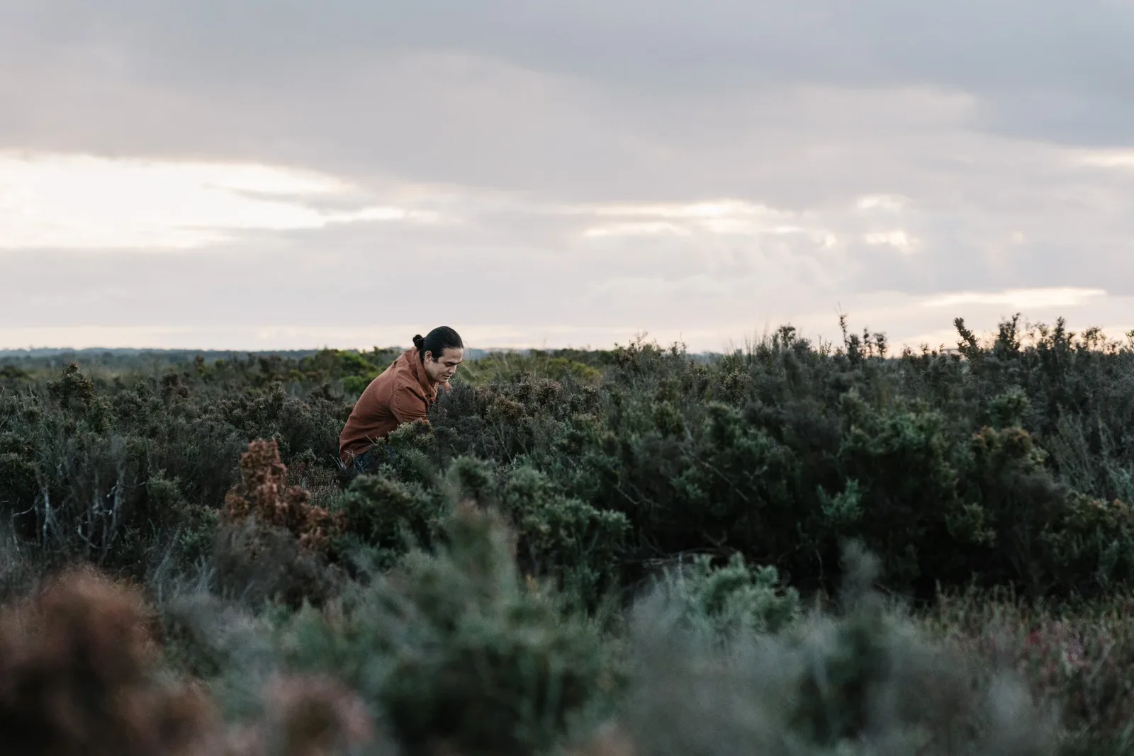 Moonah, Connewarre / Bellarine Peninsula