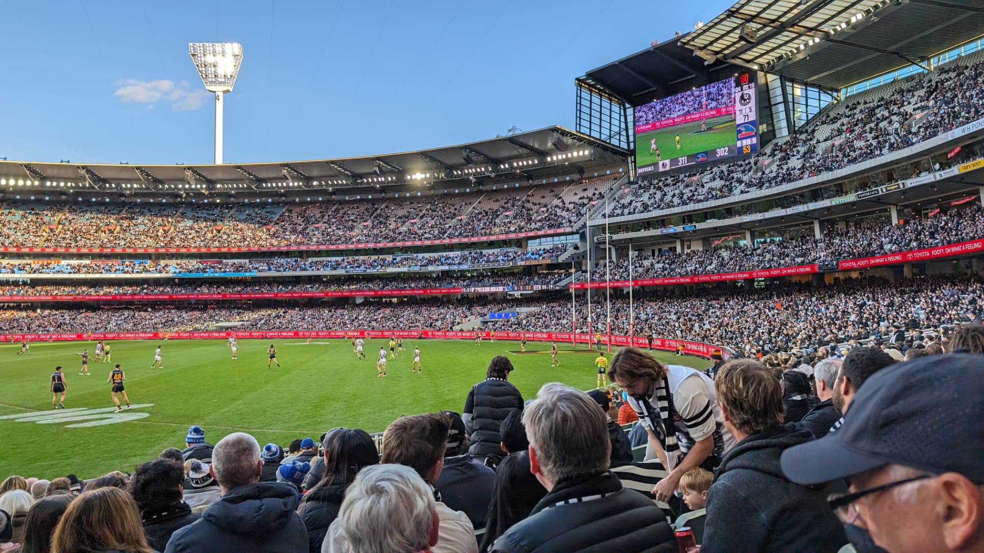 MCG & sport